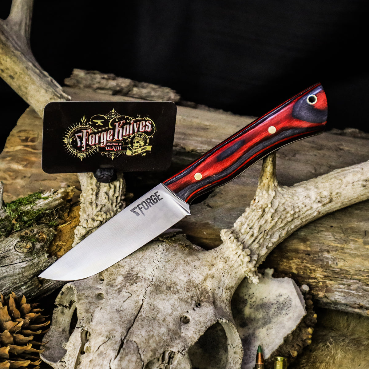 Ranger - apple jax dymalux – 7Forge Knives
