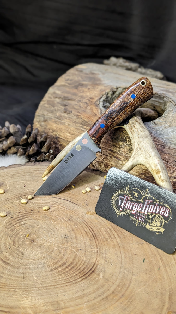 PXL-20240428_161833753.