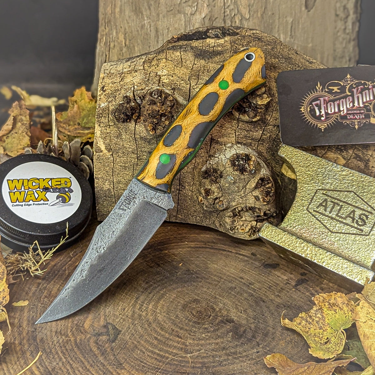 Forged Catalyst - Grey Cholla Cactus with Glow in the Dark Liners