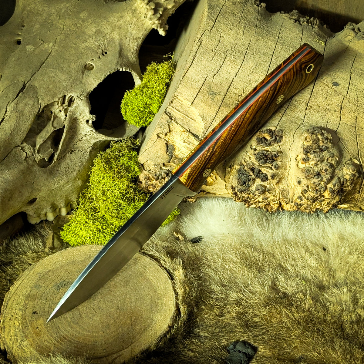 PXL-20250524_222720184.