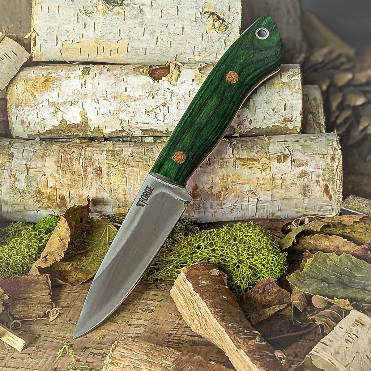 PXL_20250108_201949172.