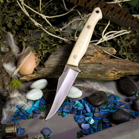 Kingfisher Model