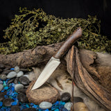 Fennec - Black Ash Burl - Black Liners - Black Pins