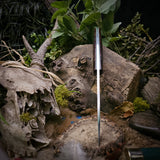 Rudy Fennec Preorder