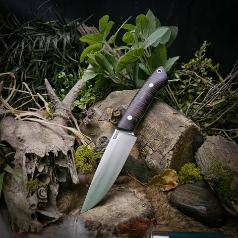 Rudy Fennec Preorder