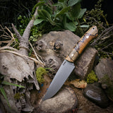 Nathan Biek Fennec Preorder