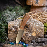 Gnome - Dark Curly Maple - Red Liners - Brass Pins