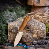 Gnome - Concinna Burl - Red Liners - Mosiac pins