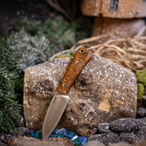 Gnome - Black Ash Burl - Black Canvas Liners - Mosaic Pins