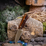 Gnome - Desert Ironwood - Red Liners - Mosaic Pins