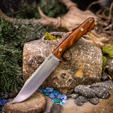 Custom Apollo - Desert Ironwood - Red Liners - Mosaic Pins