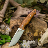 Mercury - Concinna Burl - Black Canvas Liners - Mosaic Pins