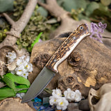 Avalon EDC - Stag - Natural Canvas Micarta Liners - Mosaic Pins