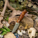 Avalon EDC - Desert Ironwood - Red Liners - Brass Pins