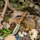 Venator EDC - Bocote - Natural Canvas Liners - Brass Pins