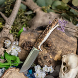 Artemis Huntress - Stag - Natural Canvas Liners - Mosaic Pins