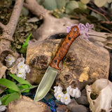 Venator EDC - Thuya Burl - Black Canvas Micarta Liners - Black Pins
