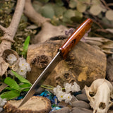 Desperado - Desert Ironwood - Red Liners -Mosaic pins