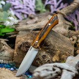 Artemis Hunter - Amber Jigged Bone - Red Liners - Mosaic Pins