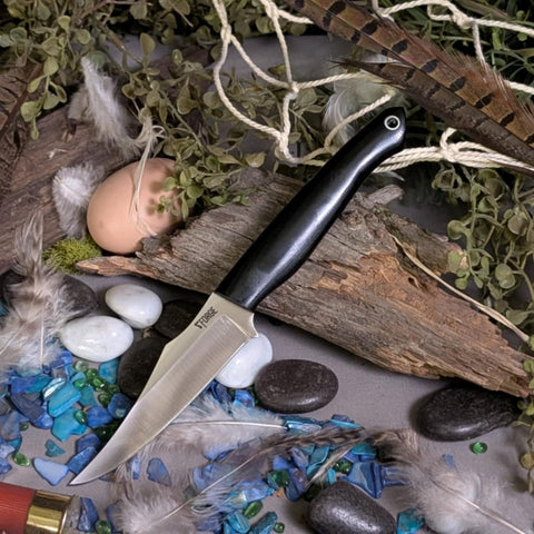 Jeff edds Kingfisher Preorder