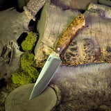 Wade McDonald  Fennec Preorder