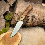Swift - Black Ash Burl - Orange and black liners - black pins