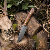 Chris Pauley Fennec Preorder