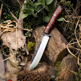 Forged Apollo - Redwood - black liners - star mosaics