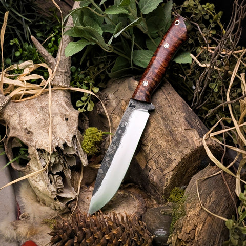 Forged Apollo - Redwood - black liners - star mosaics