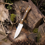 Starling - Bocote - Red Liners - Brass Pins