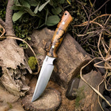 Tiffany Nitka - Lionhound II Preorder