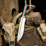 Taylor Tessin Highwater and Lionhound II