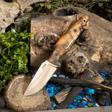 Hermes - Spalted Hackberry - Purple G10 Liners - Purple Pins