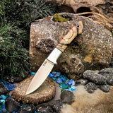 Bolstered Folium - Mammoth Tusk - Black canvas liners - Mosaic Pin