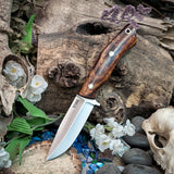 Renegade - Desert Ironwood - Red Liners - Mosaic Pins
