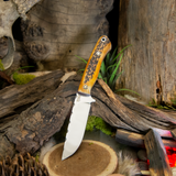 Thomas Gibbs Artemis EDC