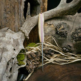 Sliver - stag