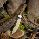 Hidden tang hunter - spalted red oak burl