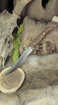 Swordfish - amboyna burl