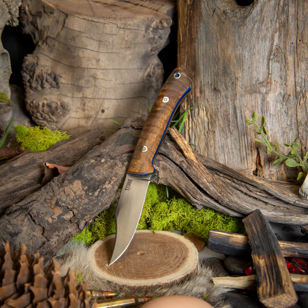 Grand pappy - olive wood – 7Forge Knives