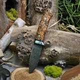 Drop point hunter - Alabama Damascus/ black ash burl