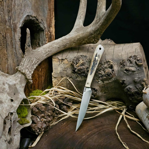 Sliver - stag